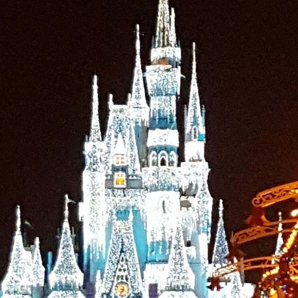 Meet your Posher, Janice